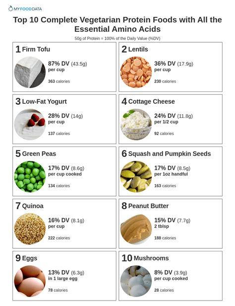 Complete List Of High Protein Foods