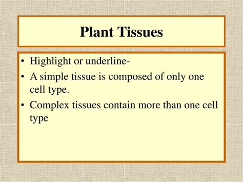 Ppt Plant Tissues Powerpoint Presentation Free Download Id9660360
