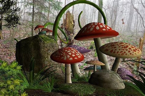 Mushrooms In The Forest By Mysticmorning