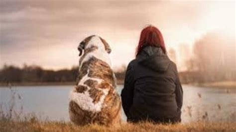 5 Reasons Why Dogs Are A Humans Best Friend