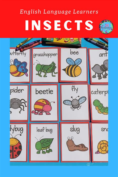 Insects And Creatures Esl Science And Spring Vocabulary Activities