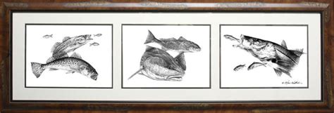 Pencil Trio Sea Trout Redfish Snook Steve Whitlock Game Fish Art