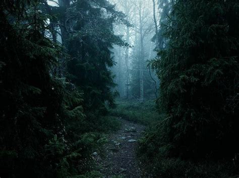 Dark Forests Dark Nature Aesthetic Dark Green Aesthetic High Fantasy