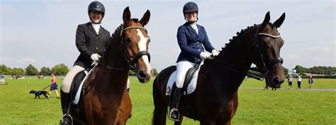 What Is A British Riding Club Horse Blog The Saddle Bank