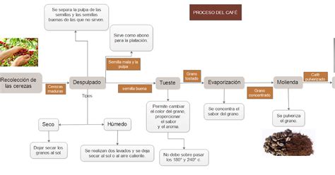 Elaboracion De Productos De Cafe Diagrama De Bloques Del Proceso