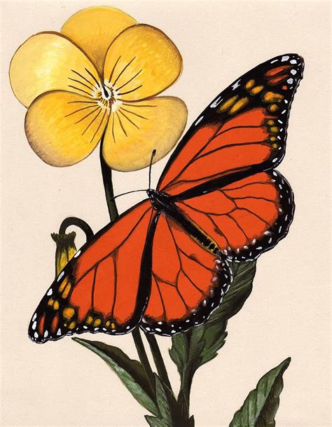 Monarch Painting By Jeanne Rehrig Pixels