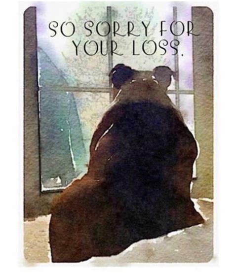 Sorry For Your Loss Paw Print Thoughts Novelty Prints Painting