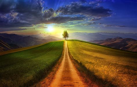 Wallpaper Field The Sun Dawn Hill Path Images For Desktop Section