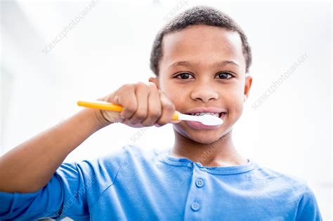 Boy Brushing Teeth Stock Image F0157454 Science Photo Library