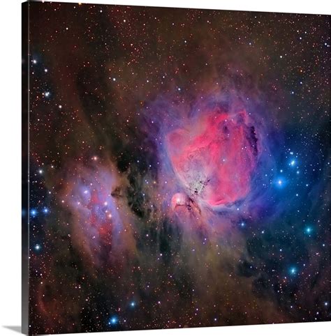 Messier 42 The Orion Nebula Wall Art Canvas Prints Framed Prints
