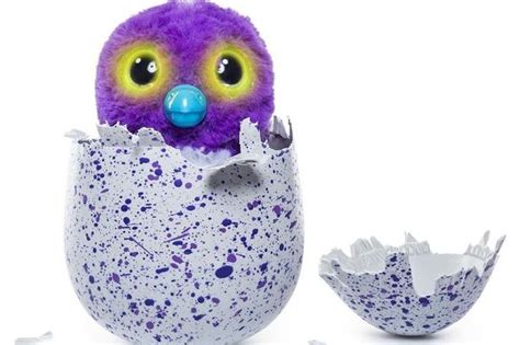 What Are Hatchimals Colleggtibles And Where Can I Buy Them Coventrylive