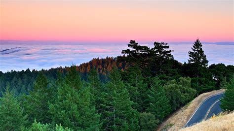 Sunset Mountain Road Spruce Pine Forest Gulf Quiet Ocean Clouds Fog California California Hd