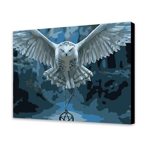 White Owl Owl Painting Paint By Number Modern Wall Art Canvas
