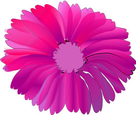 Pink Flower With Black Background Png Svg Clip Art For Web Download