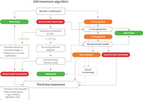 Diagnosis And Management Of Autoimmune Hepatitis The Bmj