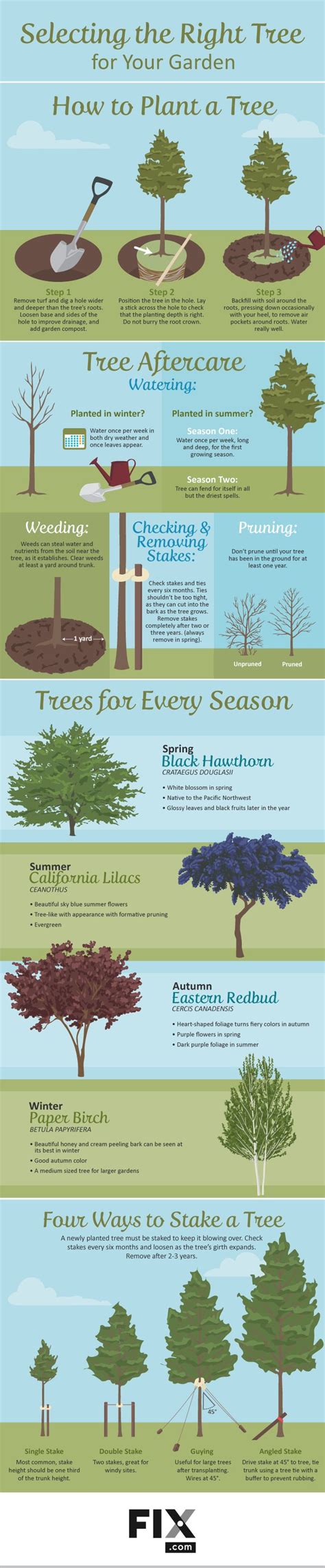 Selecting The Right Tree For Your Garden Trees To Plant Landscaping