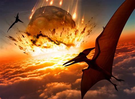 Dinosaur Discovery Scientists Stunned By Fourth New Pterosaur Species Found In A Row Big