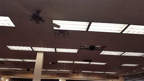 Looking for a ceiling fan? Ceiling fans in a shoe store - YouTube