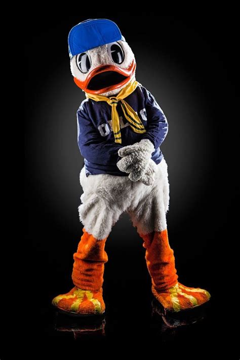 Puddles Oregon Ducks Mascot Modeling One Of His Many Game Day Theme