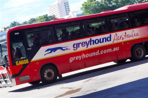 Discover 86 About Greyhound Bus Australia Latest Daotaonec