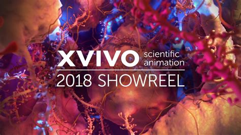 XVIVO 2018 Showreel | Medical marketing, Medical, Medical wallpaper