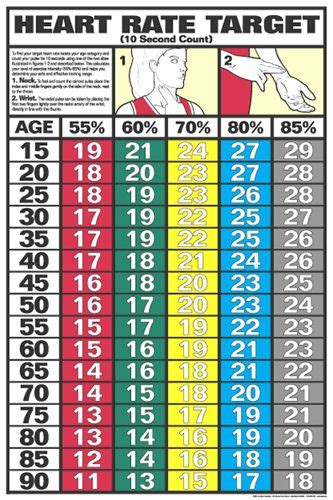 Heart Rate Target Wall Chart Poster 10 Second Count Available At
