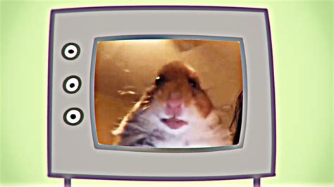 Hamster Appears On Peppa Pigs Tv 🐹 Youtube