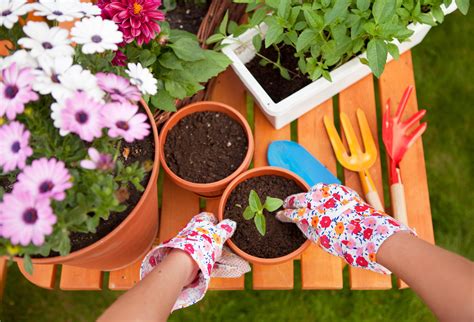 How To Get Your Garden Ready For Spring Rci Bank
