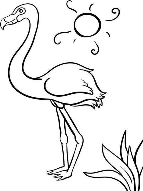 Flamingo coloring pages. Download and print Flamingo coloring pages