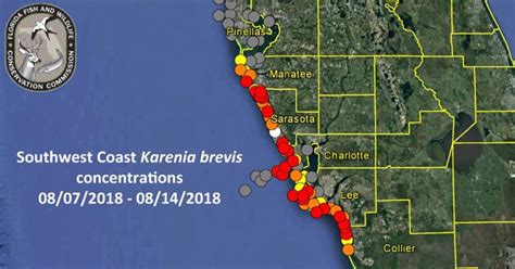Fwc Reports Signs Of Red Tide In South Pinellas News