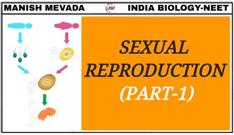 Sexual Reproduction Part
