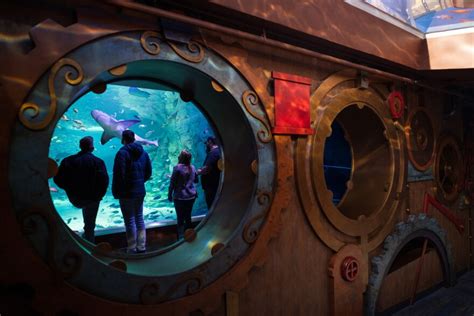 St Louis Aquarium Employees Raise Concerns About Lax Covid Rules