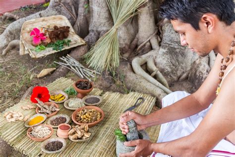 This enables jiva doctor to provide personalized medicines that are effective. Three Reasons To Choose Ayurveda Courses In Kerala India ...