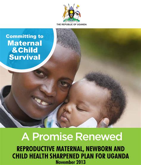 A Promise Renewed Reproductive Maternal Newborn And