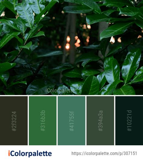 104 Rainforest Color Palette Ideas In 2019 Icolorpalette Rainforest
