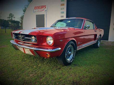 1965 Mustang Fastback Shelby