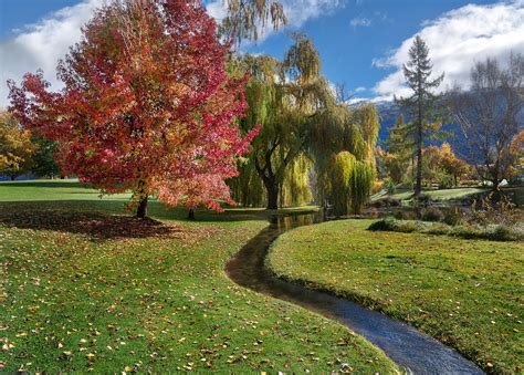 On the blog: Another Beautiful Autumn in New Zealand https://www