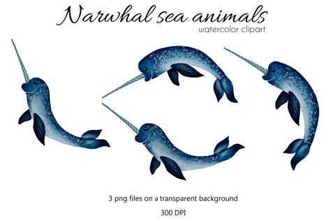 Watercolor Narwhal Illustration Graphic By Ok Design · Creative Fabrica