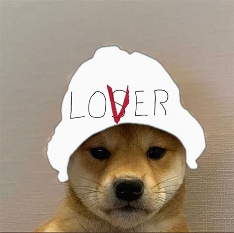 Elijah Lawes On Instagram Dogwifhatgang Dog With Hat Dog Memes