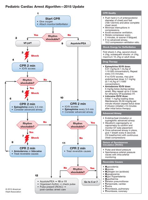 Part 12: Pediatric Advanced Life Support | ECC Guidelines 2015