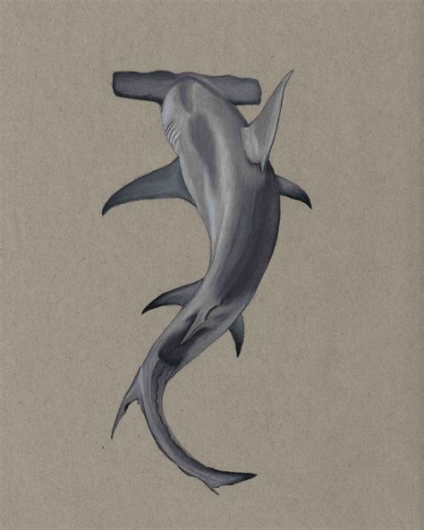 Hammerhead Shark Drawing Print Etsy