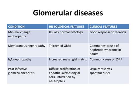 Ppt Glomerular Diseases Powerpoint Presentation Free Download Id