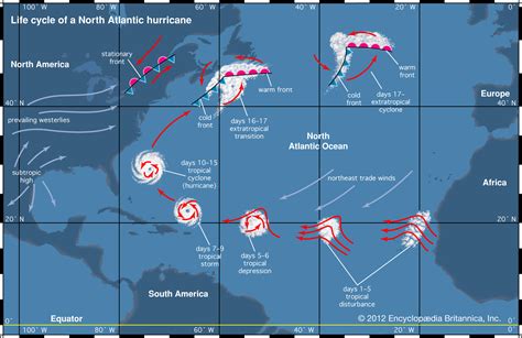 Tropical Cyclone Diagram : Causes Of Tropical Cyclones Geography Myp Gcse Dp : The tropical ...