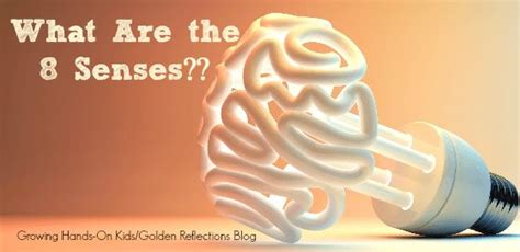 What Are The 8 Senses Sensory Processing Explained Take Every Thought Captive Mindfulness