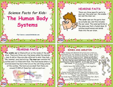 Human Body System Facts Zip The Teachers Craft