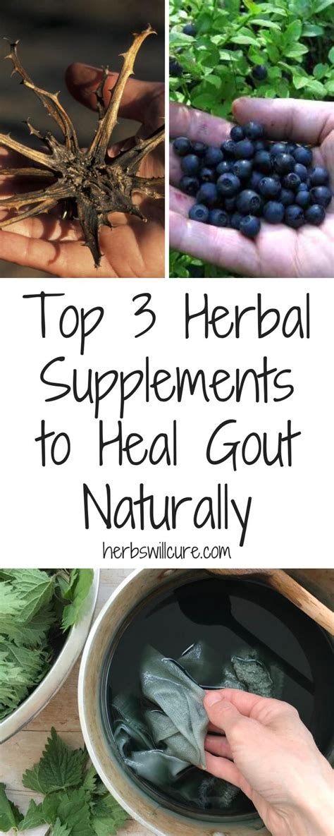 Top 3 Herbal Supplements To Heal Gout Naturally In 2020 Gout Remedies