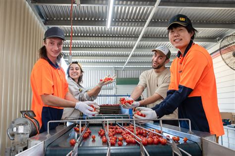 Advertise or search for jobs at Pick Paradise