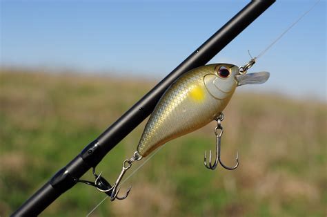 Use this to your advantage, pitching deep into cover with. How to Use a Crankbait Lure - Flannelfishermen.com