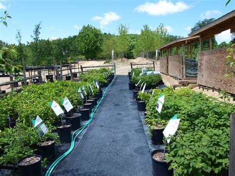 Garden Center Knechts Nurseries And Landscaping