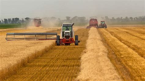 Le Canada Rural Bâtir Notre Grand Pays Ensemble Une Collectivité à La